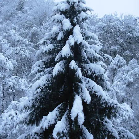 Appartementhaus Architekt Wierer Lejlighed Bad Hofgastein